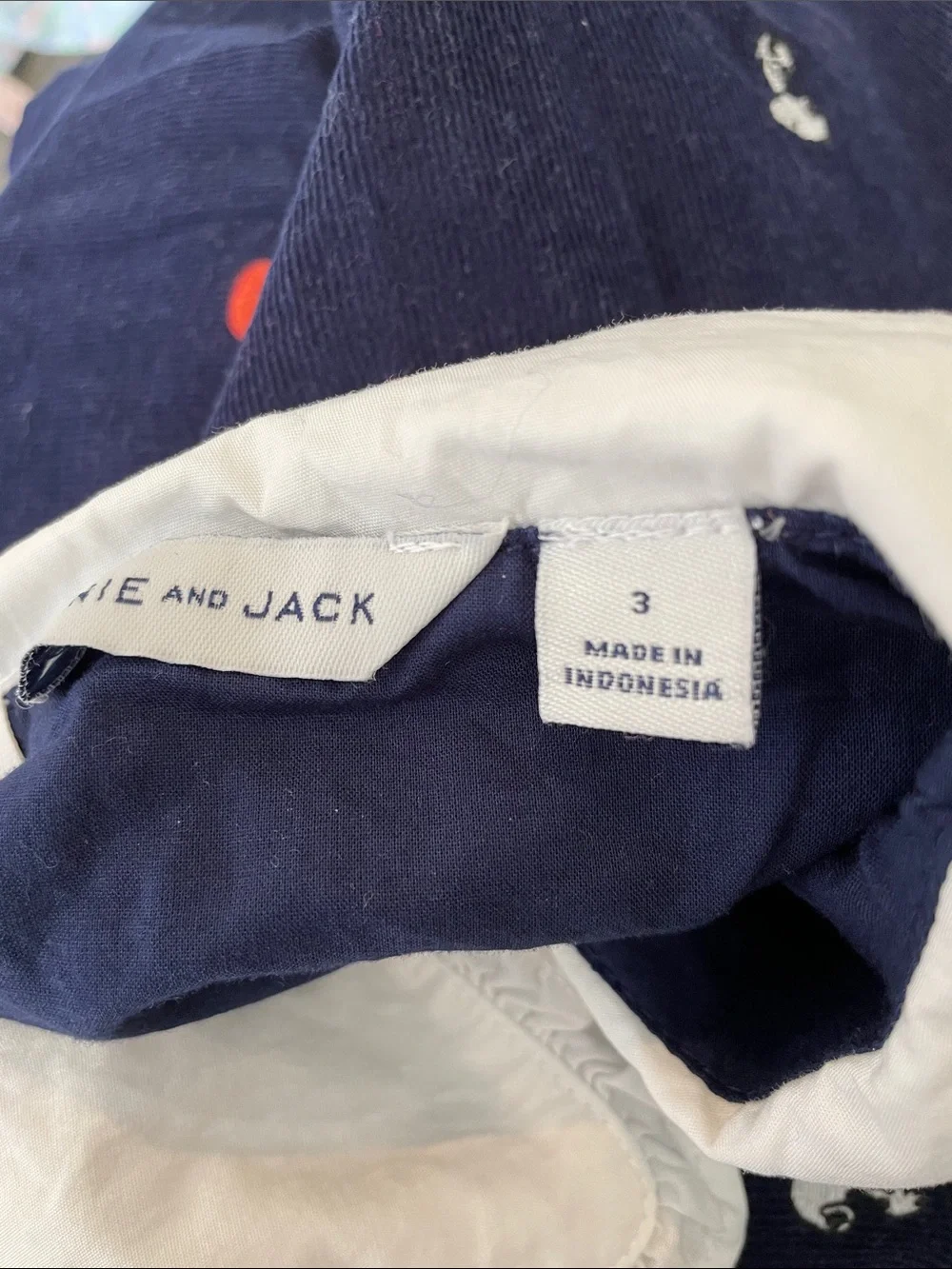 Janie and Jack Fall Sibling Set